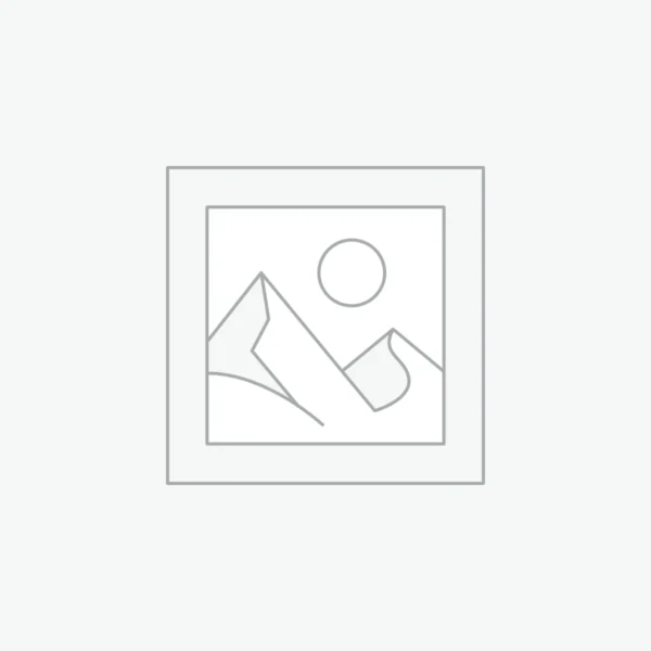 Every Morning Recipes